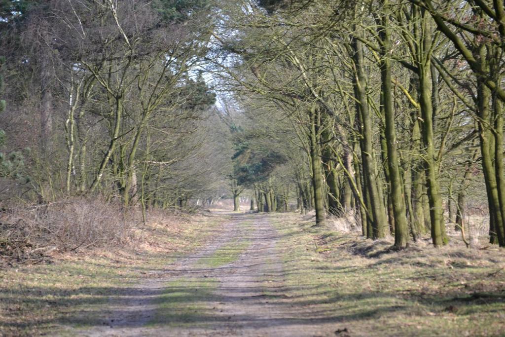 Auberge De Moerse Hoeve Exterior foto